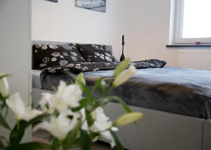 Apartament 102 G&w Breslavia